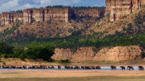 Gonarezhou National Park is Zimbabwe's second-largest national park, covering over 5,000 square kilometers of pristine wilderness.